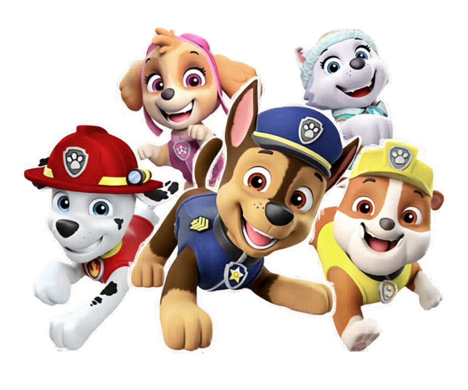 Invitations personnalisés anniversaire Pat'Patrouille - Papettelie